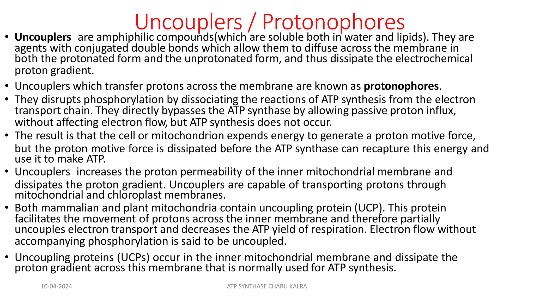 Uncouplers / Protonophores
• Uncouplers are amphiphilic compounds(which are soluble both in water and lipids). They are
agents with conjugated double bonds which allow them to diffuse across the membrane in
both the protonated form and the unprotonated form, and thus dissipate the electrochemical
proton gradient.
• Uncouplers which transfer protons across the membrane are known as protonophores.
• They disrupts phosphorylation by dissociating the reactions of ATP synthesis from the electron
transport chain. They directly bypasses the ATP synthase by allowing passive proton influx,
without affecting electron flow, but ATP synthesis does not occur.
• The result is that the cell or mitochondrion expends energy to generate a proton motive force,
but the proton motive force is dissipated before the ATP synthase can recapture this energy and
use it to make ATP.
• Uncouplers increases the proton permeability of the inner mitochondrial membrane and
dissipates the proton gradient. Uncouplers are capable of transporting protons through
mitochondrial and chloroplast membranes.
• Both mammalian and plant mitochondria contain uncoupling protein (UCP). This protein
facilitates the movement of protons across the inner membrane and therefore partially
uncouples electron transport and decreases the ATP yield of respiration. Electron flow without
accompanying phosphorylation is said to be uncoupled.
• Uncoupling proteins (UCPs) occur in the inner mitochondrial membrane and dissipate the
proton gradient across this membrane that is normally used for ATP synthesis.
10-04-2024 ATP SYNTHASE CHARU KALRA
 