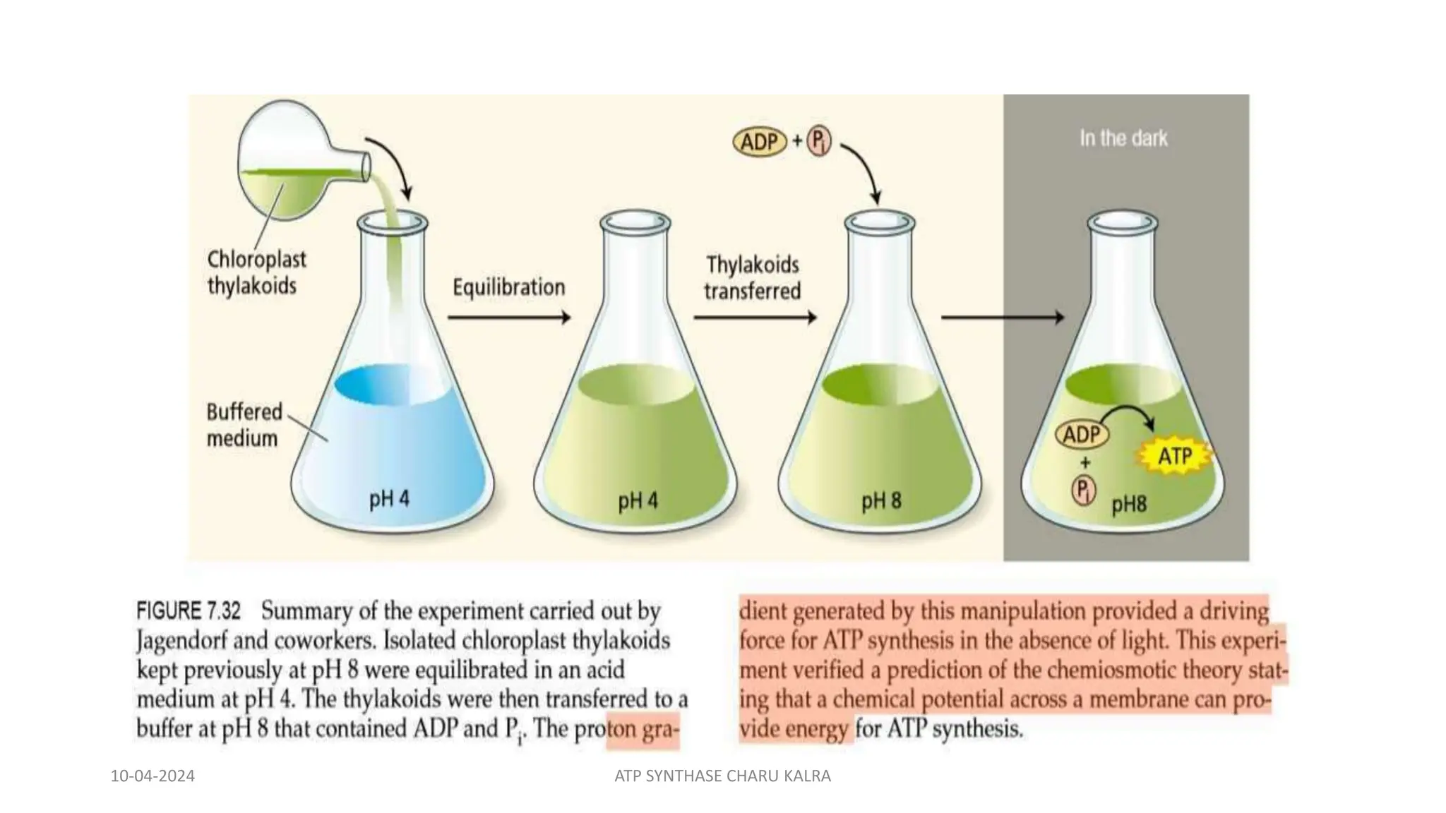 10-04-2024 ATP SYNTHASE CHARU KALRA
 