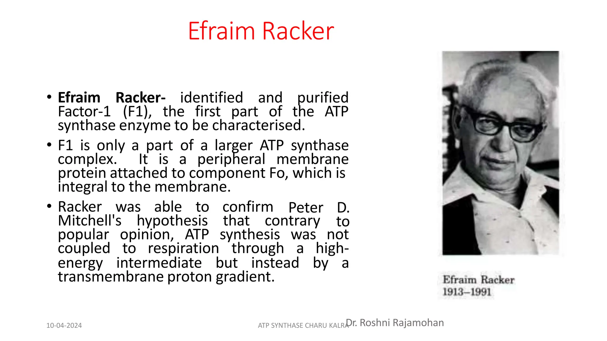 Efraim Racker
• Efraim Racker- identified and purified
Factor-1 (F1), the first part of the ATP
synthase enzyme to be characterised.
• F1 is only a part of a larger ATP synthase
complex. It is a peripheral membrane
protein attached to component Fo, which is
integral to the membrane.
• Racker was able to confirm
Mitchell's hypothesis that contrary
Peter D.
to
popular opinion, ATP synthesis was not
coupled to respiration through a high-
energy intermediate but instead by a
transmembrane proton gradient.
Dr. Roshni Rajamohan
10-04-2024 ATP SYNTHASE CHARU KALRA
 