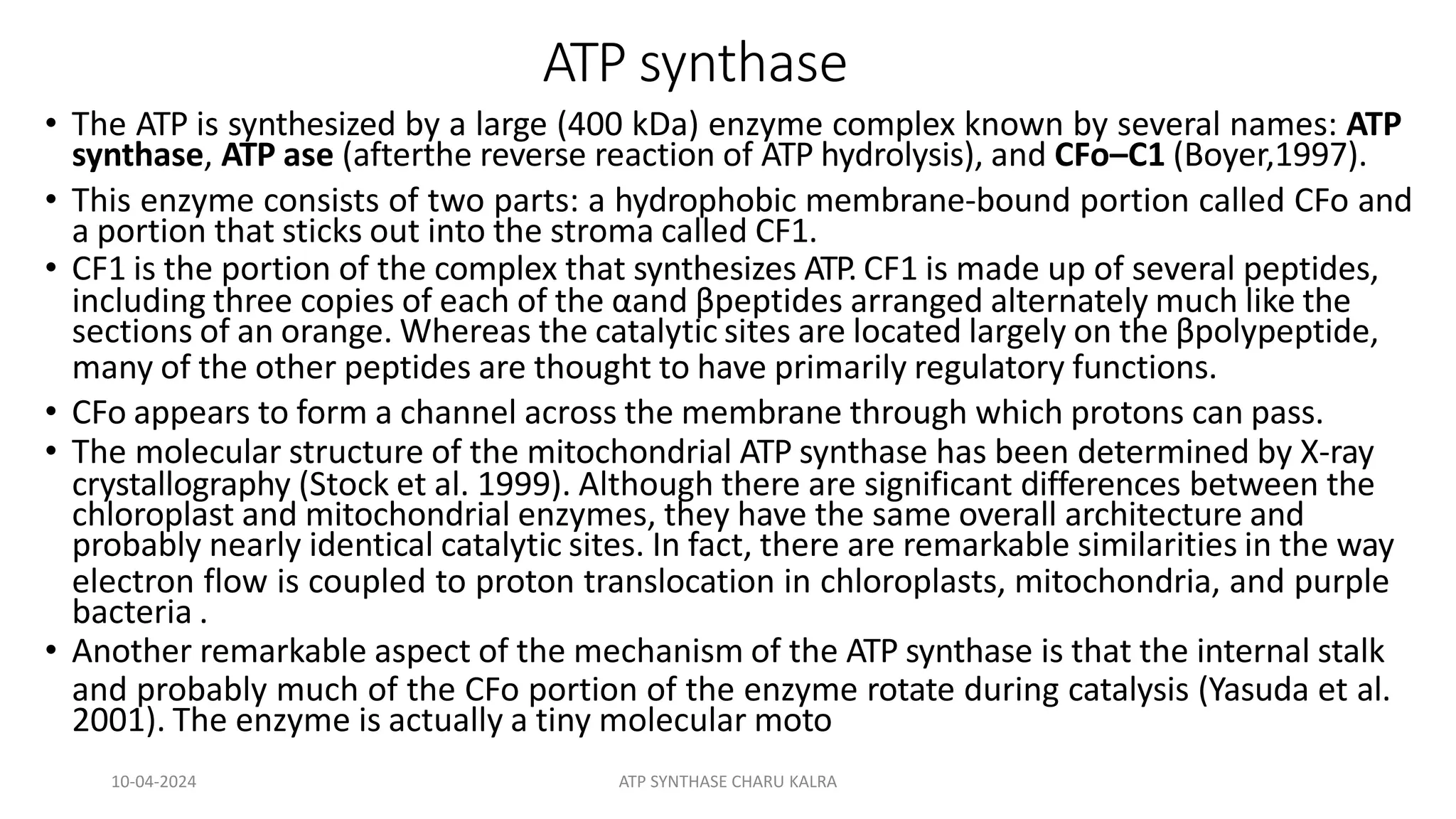 ATP synthase
• The ATP is synthesized by a large (400 kDa) enzyme complex known by several names: ATP
synthase, ATP ase (afterthe reverse reaction of ATP hydrolysis), and CFo–C1 (Boyer,1997).
• This enzyme consists of two parts: a hydrophobic membrane-bound portion called CFo and
a portion that sticks out into the stroma called CF1.
• CF1 is the portion of the complex that synthesizes ATP. CF1 is made up of several peptides,
including three copies of each of the αand βpeptides arranged alternately much like the
sections of an orange. Whereas the catalytic sites are located largely on the βpolypeptide,
many of the other peptides are thought to have primarily regulatory functions.
• CFo appears to form a channel across the membrane through which protons can pass.
• The molecular structure of the mitochondrial ATP synthase has been determined by X-ray
crystallography (Stock et al. 1999). Although there are significant differences between the
chloroplast and mitochondrial enzymes, they have the same overall architecture and
probably nearly identical catalytic sites. In fact, there are remarkable similarities in the way
electron flow is coupled to proton translocation in chloroplasts, mitochondria, and purple
bacteria .
• Another remarkable aspect of the mechanism of the ATP synthase is that the internal stalk
and probably much of the CFo portion of the enzyme rotate during catalysis (Yasuda et al.
2001). The enzyme is actually a tiny molecular moto
10-04-2024 ATP SYNTHASE CHARU KALRA
 