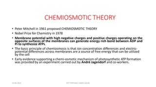 CHEMIOSMOTIC THEORY
• Peter Mitchell in 1961 proposed CHEMIOSMOTIC THEORY
• Nobel Prize for Chemistry in 1978
• Membrane potential with high negative charges and positive charges operating on the
opposite surfaces of the membranes can generate energy rich bond between ADP and
Pi to synthesize ATPs.
• The basic principle of chemiosmosis is that ion concentration differences and electric-
potential differences across membranes are a source of free energy that can be utilized
by the cell
• Early evidence supporting a chemi-osmotic mechanism of photosynthetic ATP formation
was provided by an experiment carried out by André Jagendorf and co-workers.
10-04-2024 ATP SYNTHASE CHARU KALRA
 