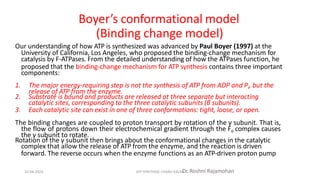 Boyer’s conformational model
(Binding change model)
Our understanding of how ATP is synthesized was advanced by Paul Boyer (1997) at the
University of California, Los Angeles, who proposed the binding-change mechanism for
catalysis by F-ATPases. From the detailed understanding of how the ATPases function, he
proposed that the binding-change mechanism for ATP synthesis contains three important
components:
1. The major energy-requiring step is not the synthesis of ATP from ADP and Pi, but the
release of ATP from the enzyme.
2. Substrate is bound and products are released at three separate but interacting
catalytic sites, corresponding to the three catalytic subunits (β subunits).
3. Each catalytic site can exist in one of three conformations: tight, loose, or open.
The binding changes are coupled to proton transport by rotation of the γ subunit. That is,
the flow of protons down their electrochemical gradient through the Fo complex causes
the γ subunit to rotate.
Rotation of the γ subunit then brings about the conformational changes in the catalytic
complex that allow the release of ATP from the enzyme, and the reaction is driven
forward. The reverse occurs when the enzyme functions as an ATP-driven proton pump
Dr. Roshni Rajamohan
10-04-2024 ATP SYNTHASE CHARU KALRA
 