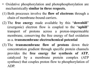 • Oxidative phosphorylation and photophosphorylation are
mechanistically similar in three respects.
(1) Both processes involve the flow of electrons through a
chain of membrane-bound carriers.
(2) The free energy made available by this ―downhill‖
(exergonic) electron flow is coupled to the ―uphill‖
transport of protons across a proton-impermeable
membrane, conserving the free energy of fuel oxidation
as a. transmembrane electrochemical potential
(3) The transmembrane flow of protons down their
concentration gradient through specific protein channels
provides the free energy for synthesis of ATP,
catalyzed by a membrane protein complex (ATP
synthase) that couples proton flow to phosphorylation of
ADP.
 