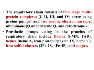 • The respiratory chain consists of four large multi-
protein complexes (I, II, III, and IV; three being
proton pumps) and two mobile electron carriers,
ubiquinone (Q or coenzyme Q, and cytochrome c.
• Prosthetic groups acting in the proteins of
respiratory chain include flavins (FMN, FAD),
hemes (heme A, iron protoporphyrin IX, heme C),
iron-sulfur clusters (2Fe-2S, 4Fe-4S), and copper.
 