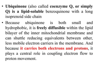 • Ubiquinone (also called coenzyme Q, or simply
Q) is a lipid-soluble benzoquinone with a long
isoprenoid side chain
• Because ubiquinone is both small and
hydrophobic, it is freely diffusible within the lipid
bilayer of the inner mitochondrial membrane and
can shuttle reducing equivalents between other,
less mobile electron carriers in the membrane. And
because it carries both electrons and protons, it
plays a central role in coupling electron flow to
proton movement.
 