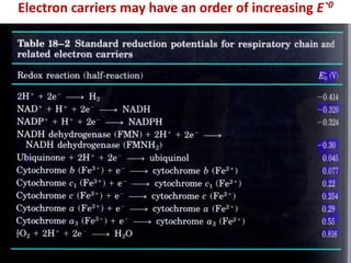 Electron carriers may have an order of increasing E`0
 