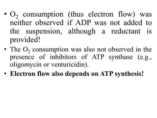 • O2 consumption (thus electron flow) was
neither observed if ADP was not added to
the suspension, although a reductant is
provided!
• The O2 consumption was also not observed in the
presence of inhibitors of ATP synthase (e.g.,
oligomycin or venturicidin).
• Electron flow also depends on ATP synthesis!
 