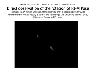 Nature 386, 299 - 302 (20 March 1997); doi:10.1038/386299a0
Direct observation of the rotation of F1-ATPase
HIROYUKI NOJI*, RYOHEI YASUDA†, MASASUKE YOSHIDA* & KAZUHIKO KINOSITA JR†
†Department of Physics, Faculty of Science and Technology, Keio University, Hiyoshi 3-14-1,
Kohoku-ku, Yokohama 223, Japan
 