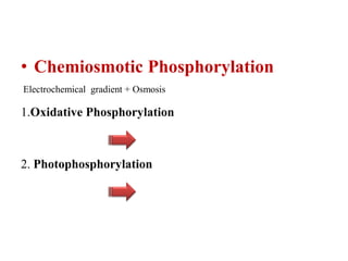 • Chemiosmotic Phosphorylation
Electrochemical gradient + Osmosis
1.Oxidative Phosphorylation
2. Photophosphorylation
 