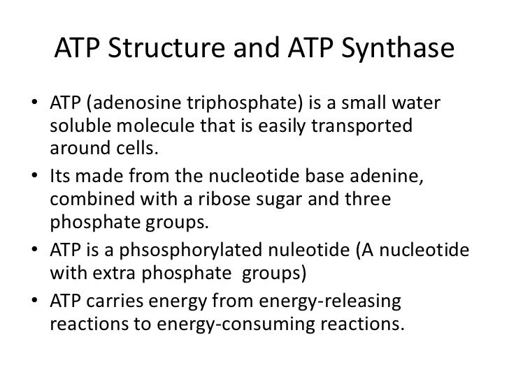Atp synthesis in organelles