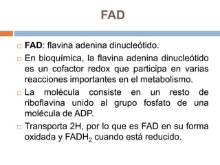 FAD
 FAD: flavina adenina dinucleótido.
 En bioquímica, la flavina adenina dinucleótido
es un cofactor redox que participa en varias
reacciones importantes en el metabolismo.
 La molécula consiste en un resto de
riboflavina unido al grupo fosfato de una
molécula de ADP.
 Transporta 2H, por lo que es FAD en su forma
oxidada y FADH2 cuando está reducido.
 