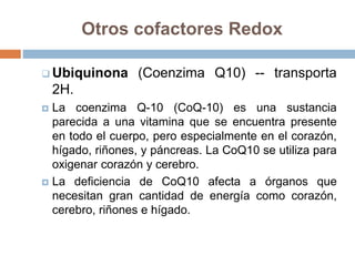 Otros cofactores Redox
 Ubiquinona (Coenzima Q10) -- transporta
2H.
 La coenzima Q-10 (CoQ-10) es una sustancia
parecida a una vitamina que se encuentra presente
en todo el cuerpo, pero especialmente en el corazón,
hígado, riñones, y páncreas. La CoQ10 se utiliza para
oxigenar corazón y cerebro.
 La deficiencia de CoQ10 afecta a órganos que
necesitan gran cantidad de energía como corazón,
cerebro, riñones e hígado.
 