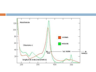 Atp y cofactores redox 2016 