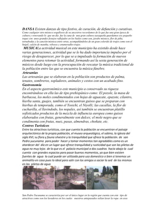 DANSA Existen danzas de tipo festivo, de curación, de defunción y curativas.
Como cualquier otro mixteco orgullosos de su ancestros recordamos de lo que fue una gran época de
cultura y renovando lo que un día fue la cuna de una gran cultura oaxaqueña guardamos ese pequeño
toque con unos grandes festejos reflejados en los bailes como son, jarabe mixteco, flor de piña,
tornabodas y la canción mixteca entre otras, acompañándolos de un gran colorido de trajes como son el
huipil, calzón de mantha, rebosos y enumeradles trajes.
 MUSICALa actividad musical en este municipio ha existido desde hace
varias generaciones, actividad que se le ha dado importancia impulso por el
riesgo de desaparecer, por lo que se a impulsado la formación de nuevos
elementos para retomar la actividad, formando así la sexta generación de
músicos desde luego con la preocupación de rescatar la música tradicional de
la población entre las que se encuentra la música fúnebre.
Artesanías
Las artesanías que se elaboran en la población son productos de palma,
tenates, sombreros, sopladores, animales y cestos con un acabado fino.
Gastronomía
En el aspecto gastronómico este municipio a conservado su riqueza
encontrándose en ella las de tipo prehispánico como: El pozole, la masa de
barbacoa, los moles condimentados con hojas de aguacate, epazote, cilantro,
hierba santa, guajes, también se encuentran guisos que se preparan con
hierbas de temporada, como el Yosichi, el Niyolli; las cacallas, la flor de
cucharilla, el llavindodo, los nopales, así también se encuentran platillo
sofisticados productos de la mezcla de influencia europea como guisos
elaborados con frutas, generalmente son dulces; el mole negro que se
condimenta con frutas, nuez, pasas, almendras, choñate, etc.
Centros Turísticos
Entre los atractivos turísticos, con que cuenta la población se encuentran el paisaje
arquitectónico de la propia población, el museo arqueológico, el sabino, la iglesia del
siglo XVI; su flora y fauna silvestre y la tranquilidad que ofrece la población. de san
Pedro yucunama para poder hacer y tomar momentos tan agradables como es un
atardecer del día en un lugar que ofrece tranquilidad y rusticidad que son las piletas de
agua no muy lejos de lo que es el palacio municipal a dos cuadras hacia abajo la cual
cuenta con grandes espacios para pasar buenos momentos, ya que bien existen
fuentes de agua la cual puede ser utilizada para uso domestico o bien si tenemos un
animalito en casa pues lo ideal para salir con los amigos a saciar la sed de los mismos
en las piletas de agua




San Pedro Yucunama se caracteriza por ser el único lugar en la región que cuenta con este tipo de
atractivos como son los lavaderos en los cuales nuestros antepasados solían lavar la ropa en esos
 