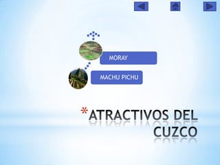 MORAY
MACHU PICHU

*

 