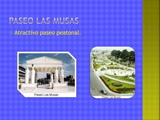 Atractivo paseo peatonal. 
 