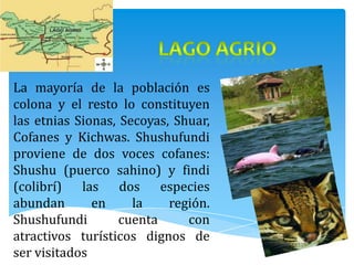 La mayoría de la población es
colona y el resto lo constituyen
las etnias Sionas, Secoyas, Shuar,
Cofanes y Kichwas. Shushufundi
proviene de dos voces cofanes:
Shushu (puerco sahino) y findi
(colibrí) las dos especies
abundan       en     la    región.
Shushufundi        cuenta     con
atractivos turísticos dignos de
ser visitados
 