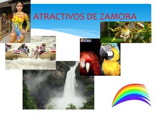 ATRACTIVOS DE ZAMORA
 