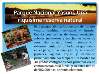 Parque Nacional Yasuní. Una
 riquísima reserva natural
       Este parque abarca las cuencas de los ríos
       yasuní, nashino, cononaco y tiputini.
       Cuenta con colinas de densa vegetación,
       árboles madereros y muchas especies de
       aves. Así mismo, tiene llanuras con
       extensos pantanos. En la fauna que habita
       en el parque nacional yasuní, se cuentan
       jaguares, águilas arpías y caimanes,
       principalmente. Su temperatura bordea los
       30 grados centígrados. Sus principal vía de
       comunicación es la fluvial y su extensión es
       de 982.000 has, aproximadamente.
 