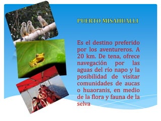 Es el destino preferido
por los aventureros. A
20 km. De tena, ofrece
navegación por las
aguas del río napo y la
posibilidad de visitar
comunidades de aucas
o huaoranis, en medio
de la flora y fauna de la
selva
 