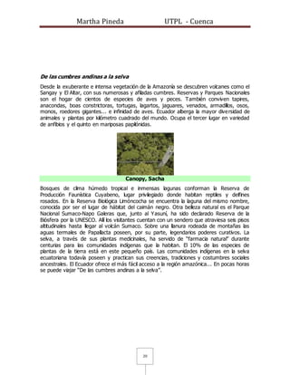 Martha Pineda UTPL - Cuenca
20
De las cumbres andinas a la selva
Desde la exuberante e intensa vegetación de la Amazonía se descubren volcanes como el
Sangay y El Altar, con sus numerosas y afiladas cumbres. Reservas y Parques Nacionales
son el hogar de cientos de especies de aves y peces. También conviven tapires,
anacondas, boas constrictoras, tortugas, lagartos, jaguares, venados, armadillos, osos,
monos, roedores gigantes... e infinidad de aves. Ecuador alberga la mayor diversidad de
animales y plantas por kilómetro cuadrado del mundo. Ocupa el tercer lugar en variedad
de anfibios y el quinto en mariposas papilónidas.
Canopy, Sacha
Bosques de clima húmedo tropical e inmensas lagunas conforman la Reserva de
Producción Faunística Cuyabeno, lugar privilegiado donde habitan reptiles y delfines
rosados. En la Reserva Biológica Limóncocha se encuentra la laguna del mismo nombre,
conocida por ser el lugar de hábitat del caimán negro. Otra belleza natural es el Parque
Nacional Sumaco-Napo Galeras que, junto al Yasuní, ha sido declarado Reserva de la
Biósfera por la UNESCO. Allí los visitantes cuentan con un sendero que atraviesa seis pisos
altitudinales hasta llegar al volcán Sumaco. Sobre una llanura rodeada de montañas las
aguas termales de Papallacta poseen, por su parte, legendarios poderes curativos. La
selva, a través de sus plantas medicinales, ha servido de “farmacia natural” durante
centurias para las comunidades indígenas que la habitan. El 10% de las especies de
plantas de la tierra está en este pequeño país. Las comunidades indígenas en la selva
ecuatoriana todavía poseen y practican sus creencias, tradiciones y costumbres sociales
ancestrales. El Ecuador ofrece el más fácil acceso a la región amazónica... En pocas horas
se puede viajar “De las cumbres andinas a la selva”.
 