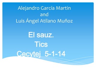 Alejandro García Martin
and
Luis Ángel Atilano Muñoz

El sauz.
Tics
Cecytej 5-1-14

 