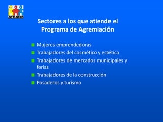 Mujeres emprendedoras
Trabajadores del cosmético y estética
Trabajadores de mercados municipales y
ferias
Trabajadores de la construcción
Posaderos y turismo
Sectores a los que atiende el
Programa de Agremiación
 