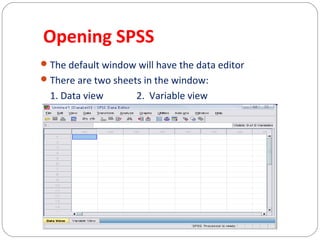 Opening SPSS
 The default window will have the data editor
 There are two sheets in the window:

1. Data view

2. Variable view

 