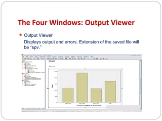 The Four Windows: Output Viewer
 Output Viewer

Displays output and errors. Extension of the saved file will
be “spv.”

 