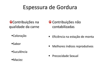 Espessura de Gordura

  Contribuições na     Contribuições não
qualidade da carne     contabilizadas

 Coloração           Eficiência na estação de monta

 Sabor
                      Melhores índices reprodutivos
 Suculência
                      Precocidade Sexual
 Maciez
 