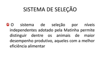 SISTEMA DE SELEÇÃO

 O sistema de seleção por níveis
independentes adotado pela Matinha permite
distinguir dentre os animais de maior
desempenho produtivo, aqueles com a melhor
eficiência alimentar
 