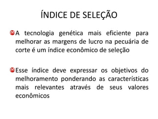 ÍNDICE DE SELEÇÃO
A tecnologia genética mais eficiente para
melhorar as margens de lucro na pecuária de
corte é um índice econômico de seleção

Esse índice deve expressar os objetivos do
melhoramento ponderando as características
mais relevantes através de seus valores
econômicos
 