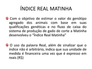 ÍNDICE REAL MATINHA
 Com o objetivo de estimar o valor do genótipo
agregado dos animais com base em suas
qualificações genéticas e no fluxo de caixa do
sistema de produção de gado de corte a Matinha
desenvolveu o “Índice Real Matinha”

 O uso da palavra Real, além de sinalizar que o
índice não é arbitrário, indica que sua unidade de
medida é financeira uma vez que é expresso em
reais (R$)
 