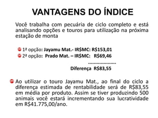 VANTAGENS DO ÍNDICE
Você trabalha com pecuária de ciclo completo e está
analisando opções e touros para utilização na próxima
estação de monta

  1ª opção: Jayamu Mat.- IR$MC: R$153,01
  2ª opção: Prado Mat. – IR$MC: R$69,46
                               ....................
                       Diferença R$83,55

Ao utilizar o touro Jayamu Mat., ao final do ciclo a
diferença estimada de rentabilidade será de R$83,55
em média por produto. Assim se tiver produzindo 500
animais você estará incrementando sua lucratividade
em R$41.775,00/ano.
 
