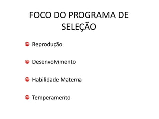 FOCO DO PROGRAMA DE
      SELEÇÃO
Reprodução

Desenvolvimento

Habilidade Materna

Temperamento
 