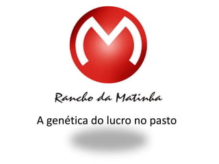A genética do lucro no pasto
 