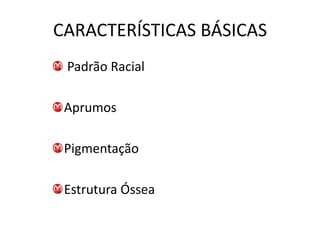 CARACTERÍSTICAS BÁSICAS
 Padrão Racial

 Aprumos

 Pigmentação

 Estrutura Óssea
 