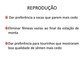 REPRODUÇÃO
Dar preferência a vacas que parem mais cedo

Eliminar fêmeas vazias ao final da estação de
monta

Dar preferência para tourinhos que mostraram
boa qualidade de sêmen mais cedo
 