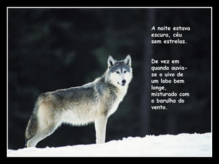 A noite estava escura, céu sem estrelas.  De vez em quando ouvia-se o uivo de um lobo bem longe, misturado com o barulho do vento.   