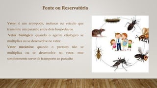Vetor: é um artrópode, molusco ou veículo que
transmite um parasito entre dois hospedeiros.
Vetor biológico: quando o agente etiológico se
multiplica ou se desenvolve no vetor.
Vetor mecânico: quando o parasito não se
multiplica ou se desenvolve no vetor, esse
simplesmente serve de transporte ao parasito
Fonte ou Reservatório
 