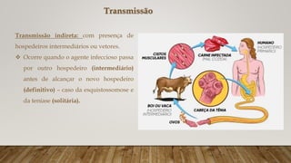 Transmissão indireta: com presença de
hospedeiros intermediários ou vetores.
 Ocorre quando o agente infeccioso passa
por outro hospedeiro (intermediário)
antes de alcançar o novo hospedeiro
(definitivo) – caso da esquistossomose e
da teníase (solitária).
Transmissão
 