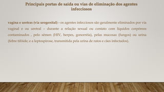 vagina e uretras (via urogenital) - os agentes infecciosos são geralmente eliminados por via
vaginal e ou uretral – durante a relação sexual ou contato com líquidos corpóreos
contaminados , pelo sêmen (HIV, herpes, gonorréia), pelas mucosas (fungos) ou urina
(febre tifóide; e a leptospirose, transmitida pela urina de ratos e cães infectados).
Principais portas de saída ou vias de eliminação dos agentes
infecciosos
 