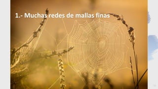 18
1.- Muchas redes de mallas finas
 