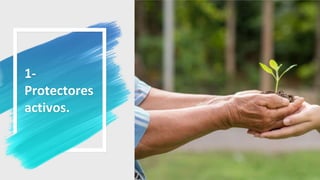 1-
Protectores
activos.
29
 