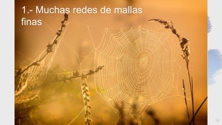 18
1.- Muchas redes de mallas
finas
 