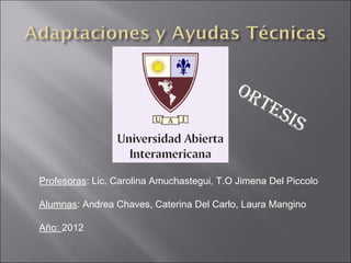 Profesoras: Lic. Carolina Amuchastegui, T.O Jimena Del Piccolo
Alumnas: Andrea Chaves, Caterina Del Carlo, Laura Mangino
Año: 2012
Ortesis
 