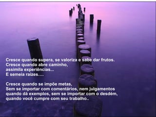 Cresce quando supera, se valoriza e sabe dar frutos. Cresce quando abre caminho, assimila experiências... E semeia raízes…. Cresce quando se impõe metas, Sem se importar com comentários, nem julgamentos quando dá exemplos, sem se importar com o desdém, quando você cumpre com seu trabalho.. 