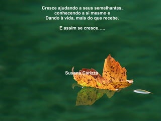 Cresce ajudando a seus semelhantes, conhecendo a si mesmo e Dando à vida, mais do que recebe. E assim se cresce….. Susana Carizza   