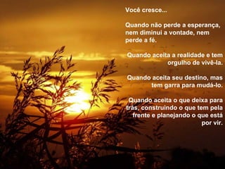 Você cresce... Quando não perde a esperança, nem diminui a vontade, nem perde a fé. Quando aceita a realidade e tem orgulho de vivê-la. Quando aceita seu destino, mas tem garra para mudá-lo. Quando aceita o que deixa para trás, construindo o que tem pela frente e planejando o que está por vir. 