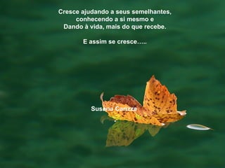 Cresce ajudando a seus semelhantes, conhecendo a si mesmo e Dando à vida, mais do que recebe. E assim se cresce….. Susana Carizza   